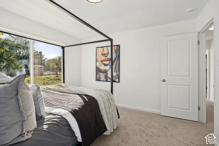 Neutral-toned wall-to-wall carpeting, large window with outdoor scenery, and a two-panel interior door with brushed metal hardware