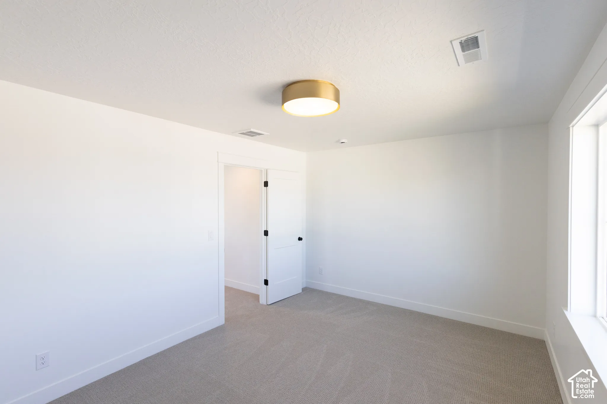 Neutral interior room featuring neutral carpeting, a brushed-gold finish flush-mount light fixture, and a white two-panel interior door with matte black hardware
