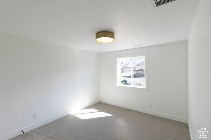 Neutral interior space featuring wall-to-wall carpeting, a brass-finish drum flush-mount light fixture, and a single-hung window with white casing
