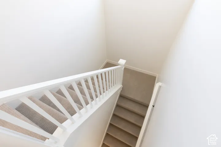 Staircase featuring wall-to-wall carpeting and a white wood balustrade