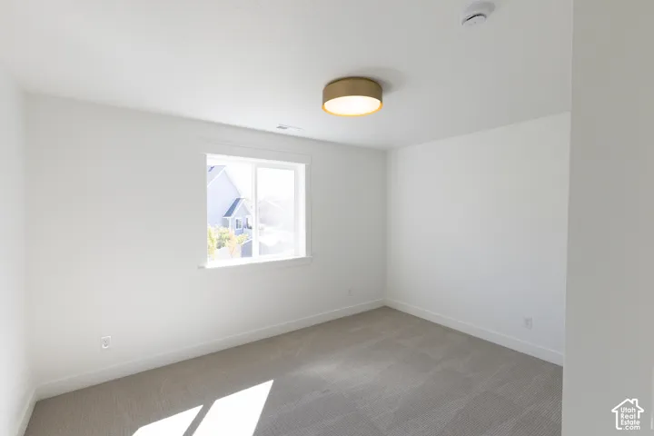 Neutral-toned carpeting, minimalist ceiling-mounted drum light fixture, and a single-pane sliding window