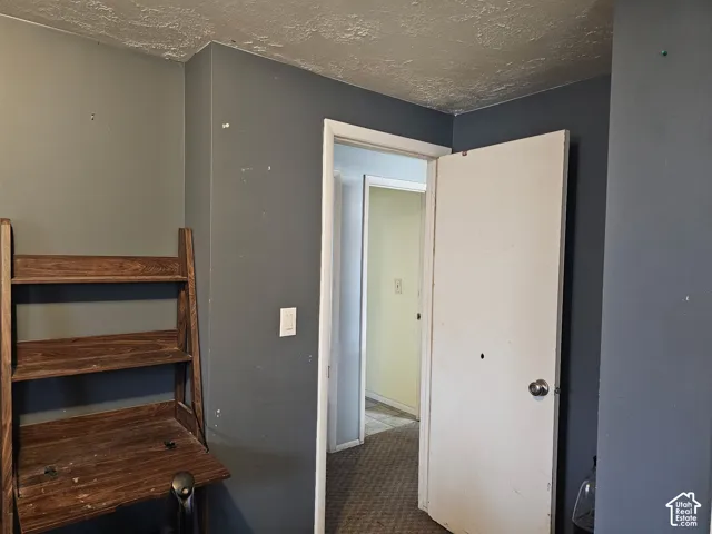 Textured ceiling and interior doorway with a white slab door and round metal hardware