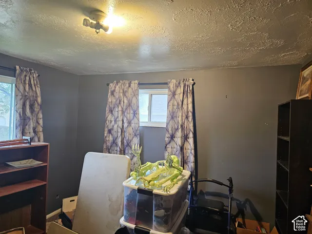 Room featuring textured ceiling, dual-pane slider windows, and ceiling-mounted dual-bulb light fixture
