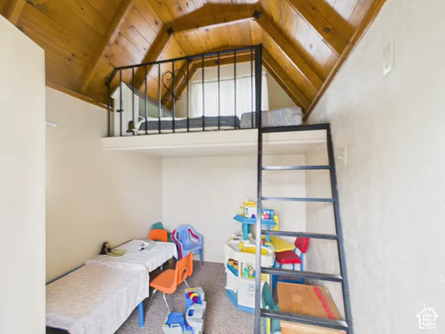 Vaulted ceiling with natural wood-plank finish, elevated loft platform, black metal safety railing, and integrated black metal ladder