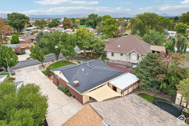 Single-story residence featuring a hipped asphalt shingle roof, masonry exterior detailing, a concrete driveway, and mature landscaping