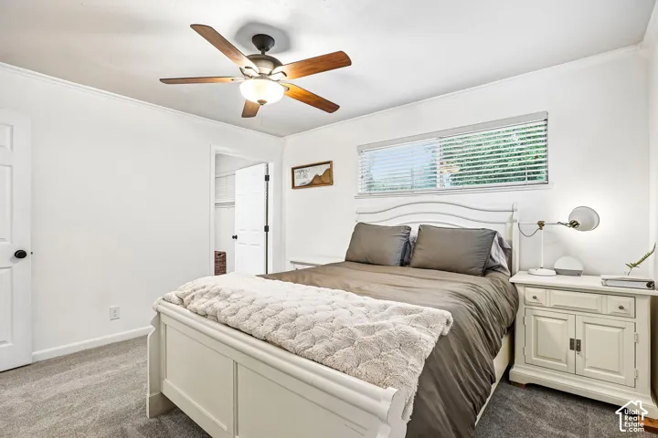 Ceiling fan with integrated lighting, wall-to-wall carpeting, and horizontal window blinds