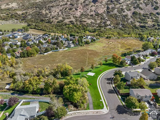 Aerial perspective featuring open hillside terrain, expansive native landscaping, paved street frontage, and mature deciduous trees