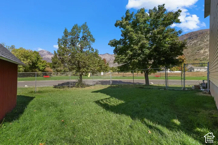 Rear yard featuring a grass lawn, chain-link fencing, mature trees, and a mountain backdrop