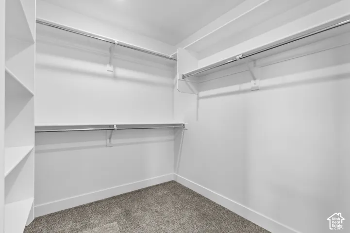 Walk-in closet featuring multi-level metal hanging rods, built-in shelving, and carpeted flooring