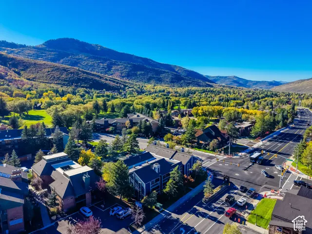 Aerial perspective showcasing dense evergreen and deciduous forest landscape, prominent mountain range, and multi-level residential structures with pitched rooflines