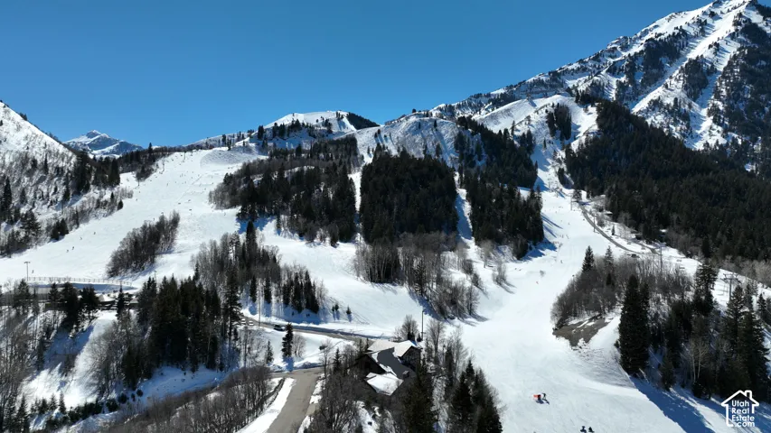Mountain landscape featuring snow-capped peaks, evergreen forests, and groomed ski runs