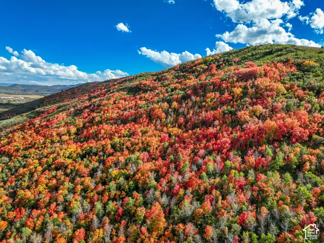 Expansive mountainous terrain featuring diverse deciduous foliage and natural topography