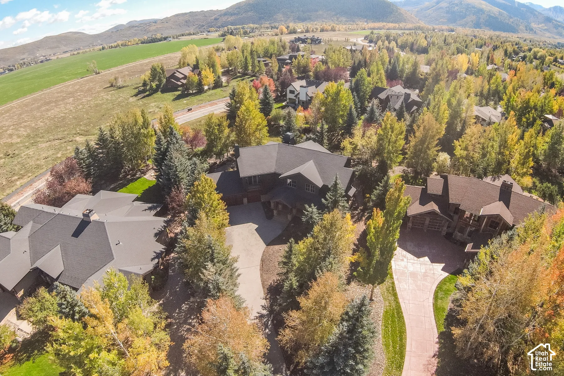 Aerial perspective featuring multi-level dwellings with shingled roofing, paved driveways, and mature deciduous and evergreen landscaping set against a mountain backdrop