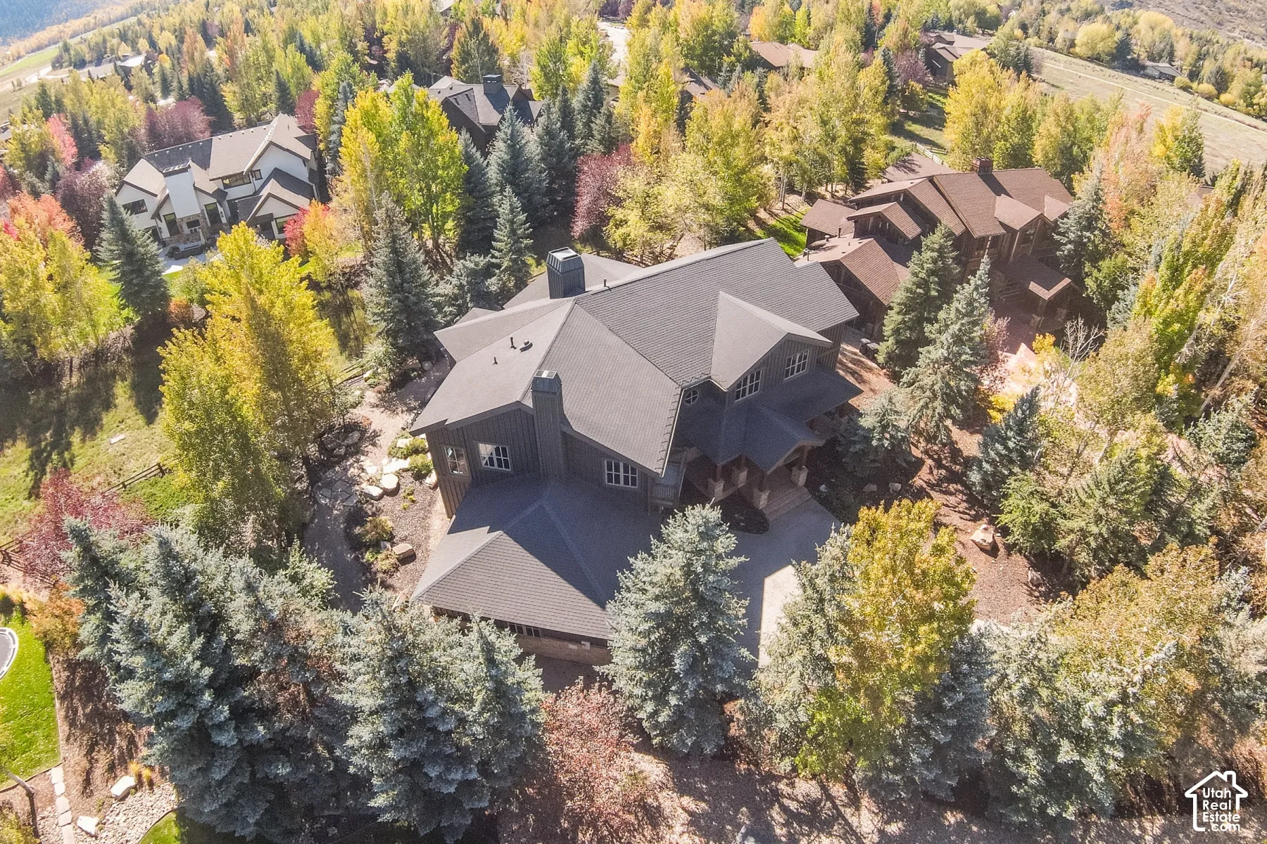 Multi-level residence featuring dark-toned vertical siding, a complex gabled roofline, multiple stone chimneys, and expansive surrounding woodland with mature evergreens and deciduous trees