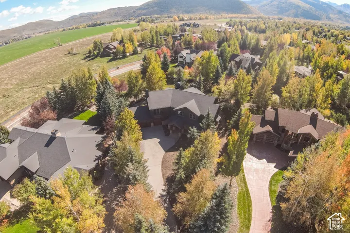 Aerial perspective featuring multi-level dwellings with shingled roofing, paved driveways, and mature deciduous and evergreen landscaping set against a mountain backdrop