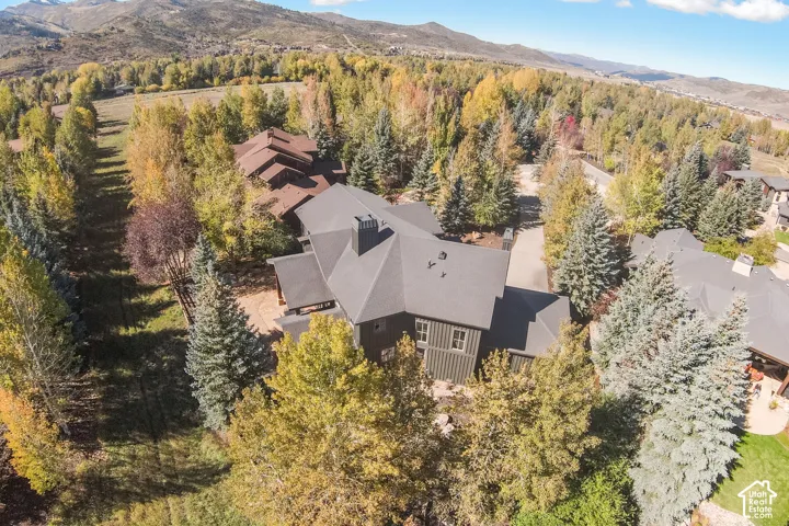 Aerial perspective featuring a vertical wood-sided residence, asphalt shingle roof, paved driveway, mature coniferous trees, and mountainous topography
