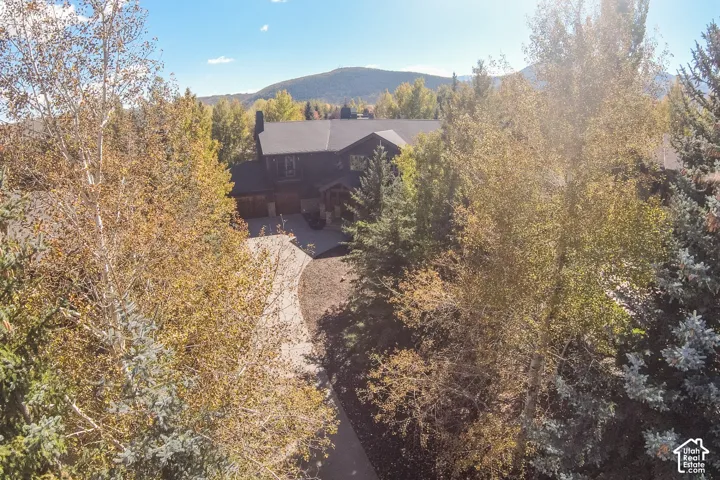 Dark-toned exterior siding, multi-car garage, winding paved driveway, mature coniferous and deciduous trees, and mountain backdrop