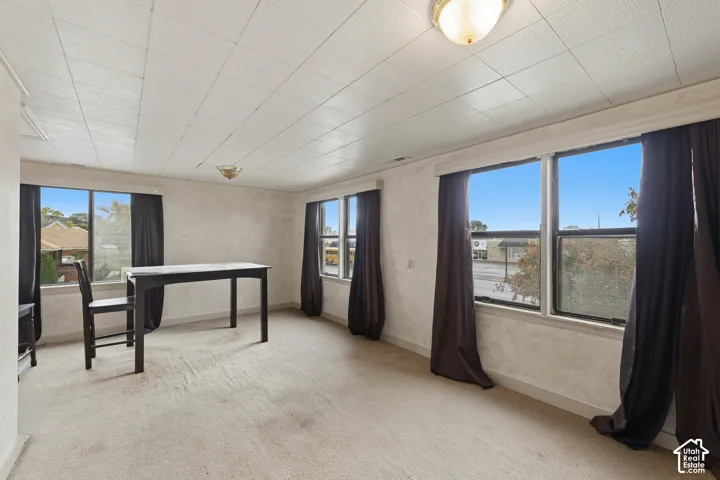 Suite 5