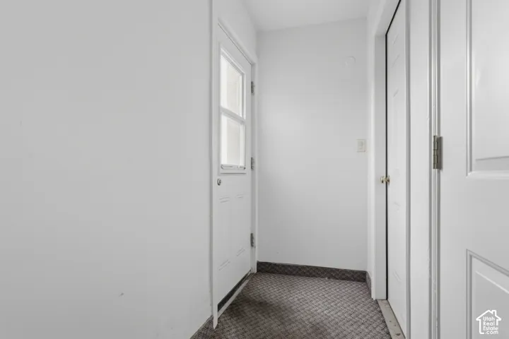 Entry area featuring a single-panel door with an upper glass insert, carpeted flooring, and two interior doors with panel detailing