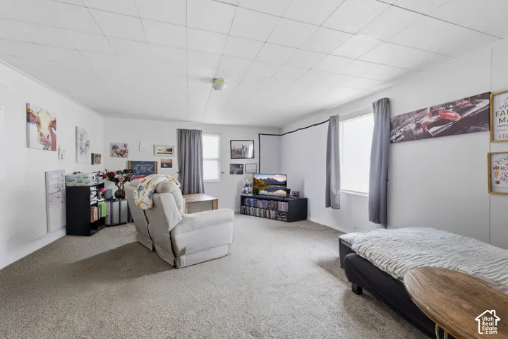Suite 6