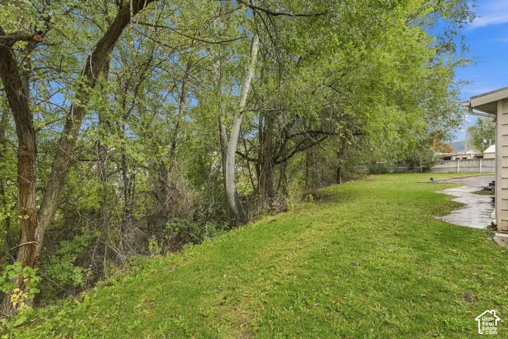 Backyard area featuring a grass lawn, mature trees, and a paved concrete pathway