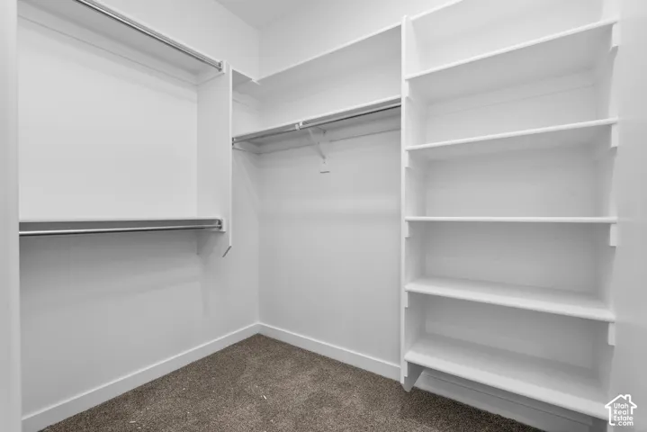 Walk-in closet featuring white built-in shelving, integrated hanging rods, and neutral carpeting