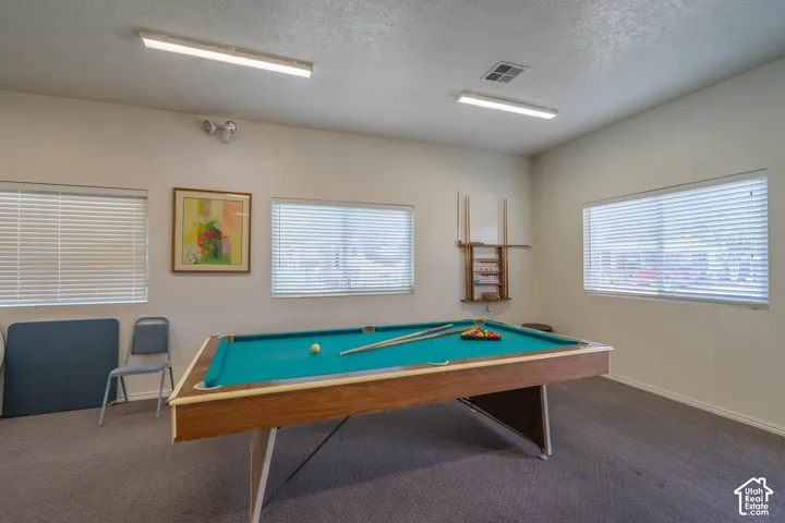 Spacious room featuring neutral carpeting, triple-window natural light exposure, and linear overhead lighting fixtures