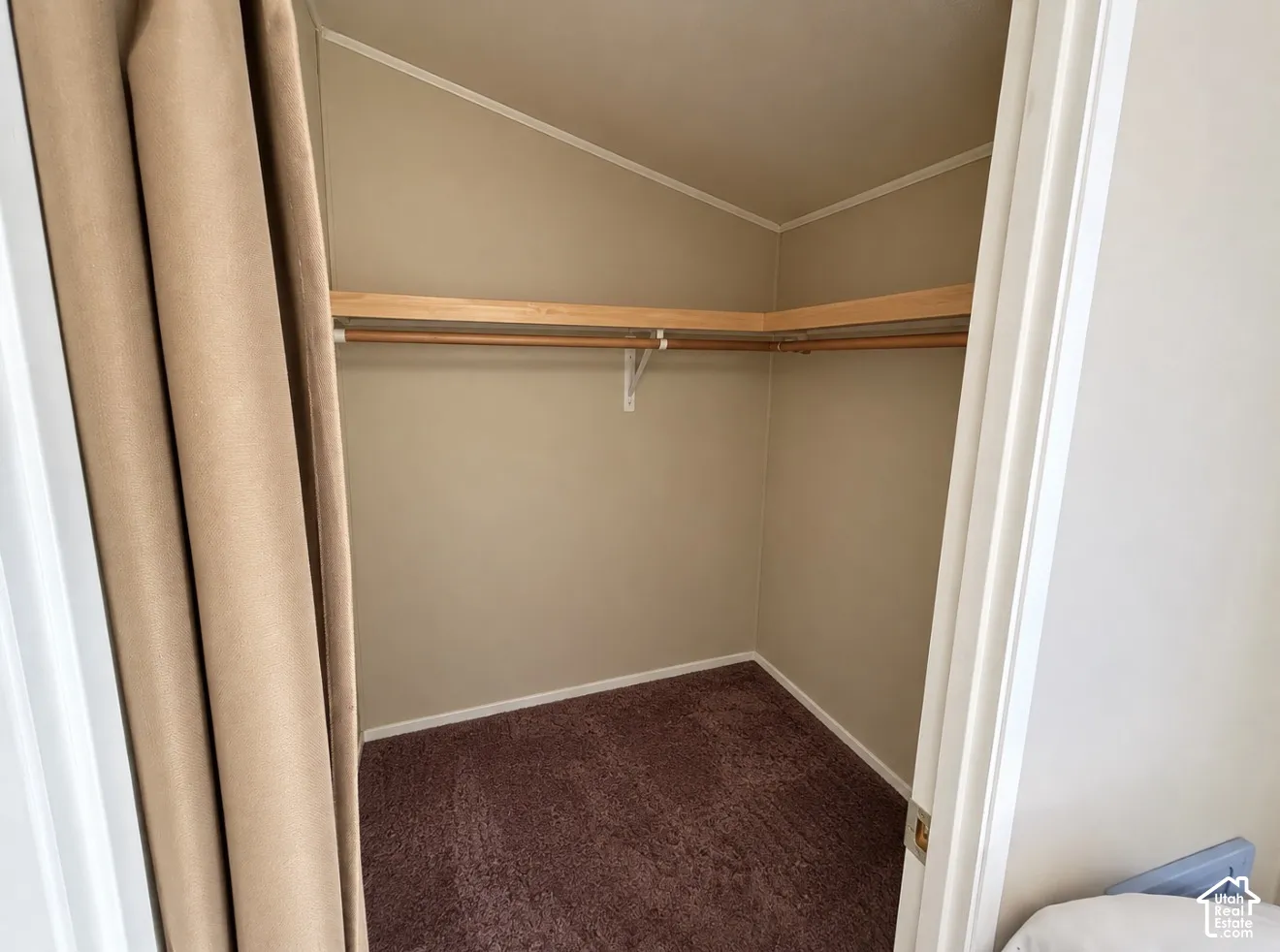 Storage space featuring neutral wall-to-wall carpeting and integrated wood shelving with a rod