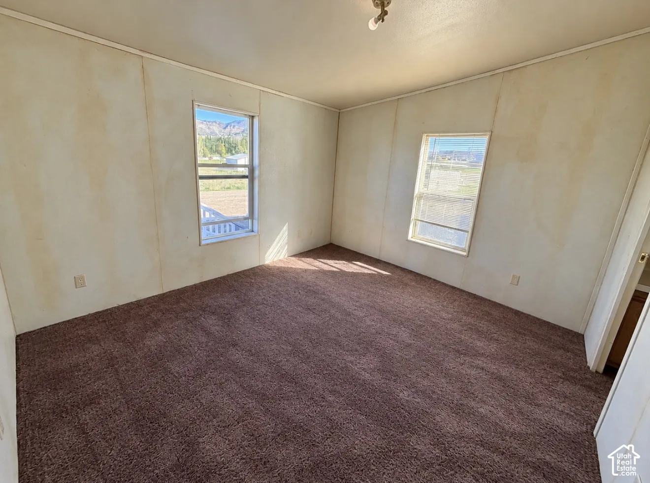 Room featuring brown carpeting, dual windows, and mounted ceiling light fixture