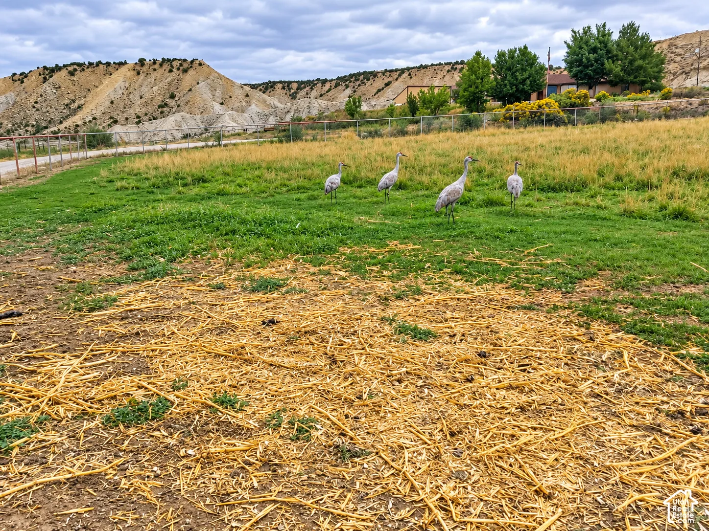 Expansive acreage featuring natural terrain, wire fencing, and mountainous topography