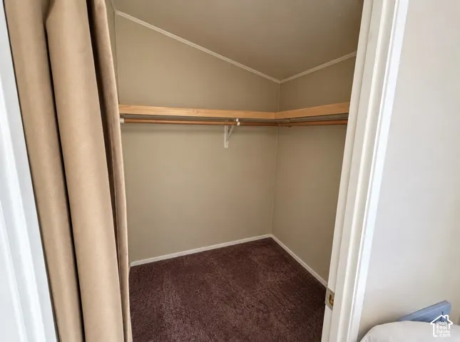 Storage space featuring neutral wall-to-wall carpeting and integrated wood shelving with a rod