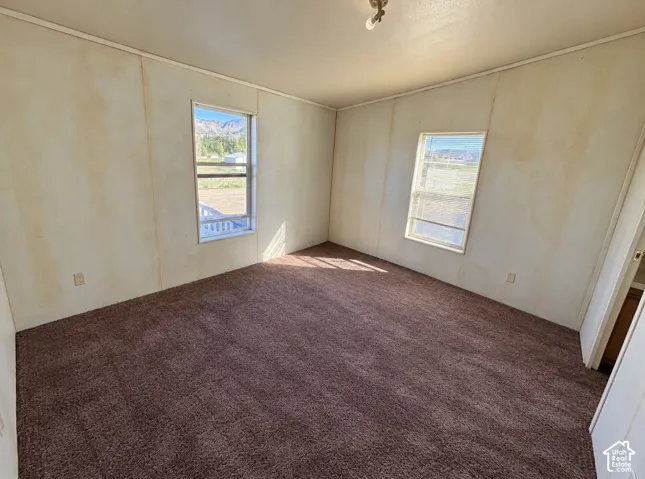 Room featuring brown carpeting, dual windows, and mounted ceiling light fixture