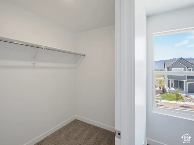 Walk-in closet featuring wall-to-wall carpeting, white interior walls, and a built-in metal hanging rod with shelving