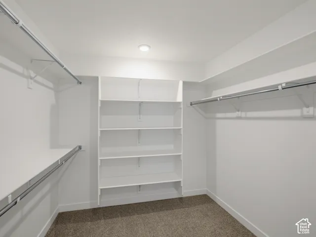 Walk-in closet featuring neutral carpeting, white interior walls, built-in shelving, and dual-level metal hanging rods