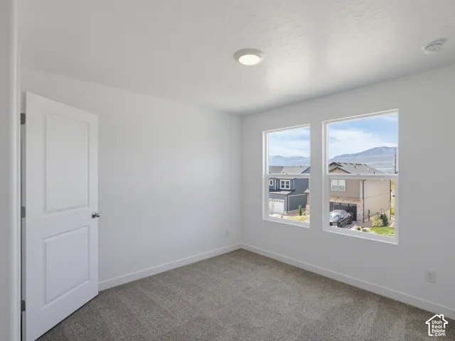 Neutral wall finish, wall-to-wall carpeting, dual windows, and ceiling-mounted flush light fixture