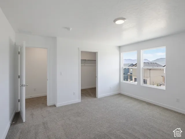 Neutral-toned carpeted flooring, two expansive windows with mountain backdrops, and a built-in walk-in closet with integrated shelving