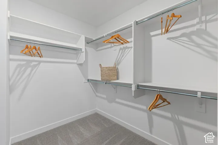 Walk-in closet featuring multi-level white shelving, integrated hanging rods, and neutral carpeting