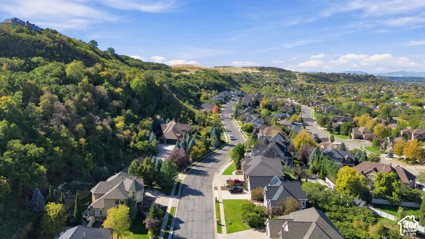 Aerial perspective of a suburban neighborhood featuring winding asphalt streets, residential properties with multi-gabled rooflines, abundant mature trees, and a mountain backdrop