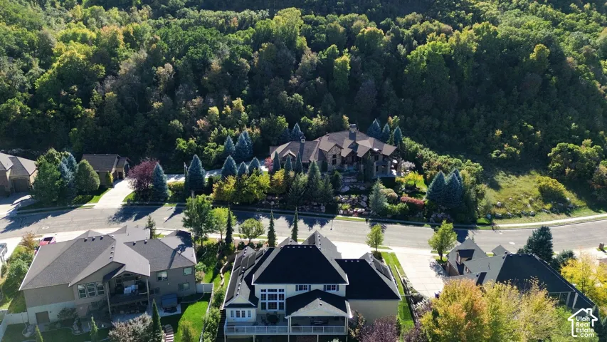 Aerial perspective of a multi-level residential property featuring a multi-gabled roofline, concrete driveway, and extensive mature tree canopy