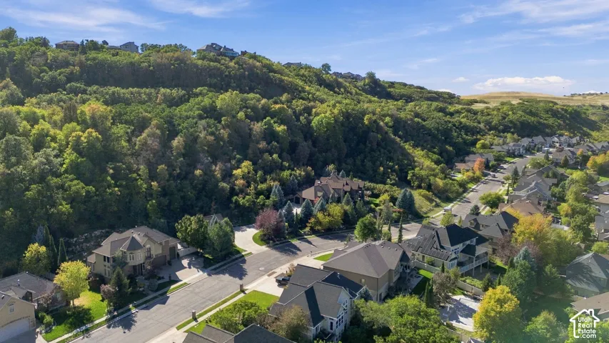 Aerial perspective of a hillside residential neighborhood featuring established tree lines, asphalt roadways, and paved driveways
