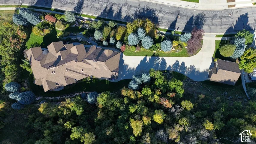 Aerial perspective of a multi-gabled roofline, concrete driveway, detached garage structure, extensive tree canopy, and landscaped grounds