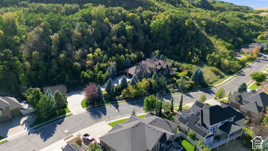 Aerial view of a residential lot backing to a dense, mature treeline with extensive coniferous and deciduous landscaping