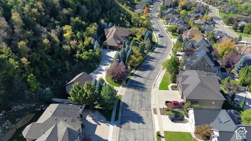 Aerial perspective featuring mature trees, a sloped wooded hillside, concrete driveways, and asphalt roads within a residential neighborhood