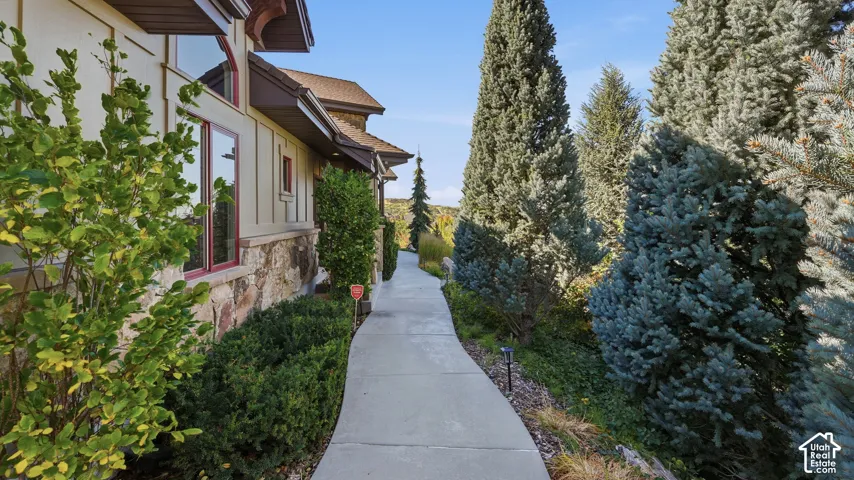Exterior elevation featuring stone veneer siding, vertical board-and-batten siding, large-pane windows, a concrete walkway, and mature evergreen landscaping