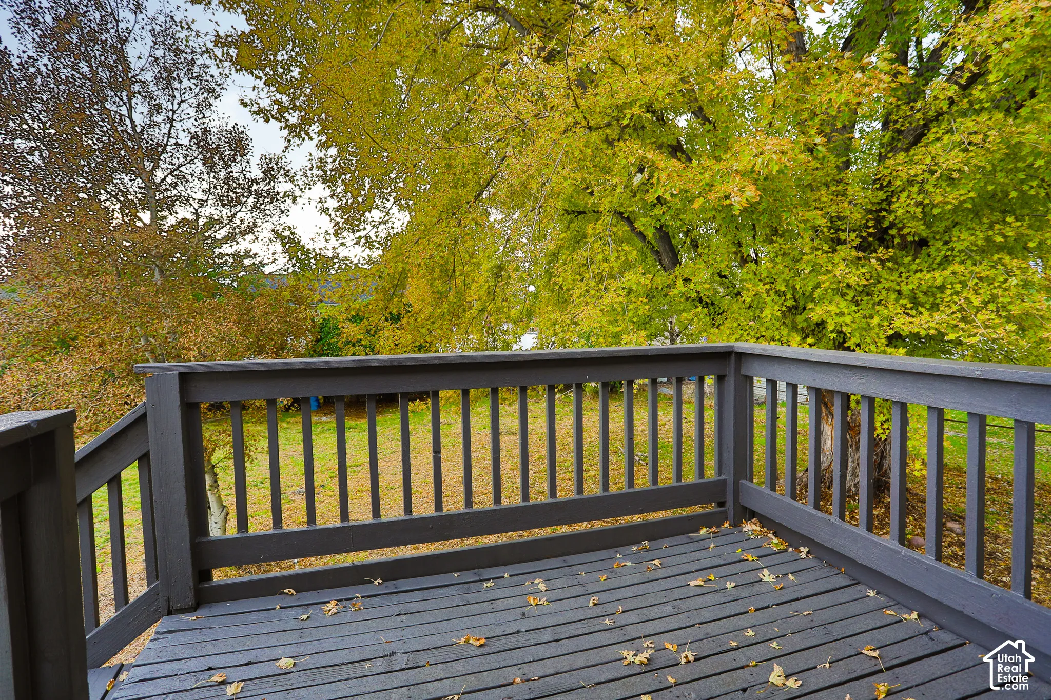 Elevated wood-plank deck featuring a painted perimeter railing and stairs