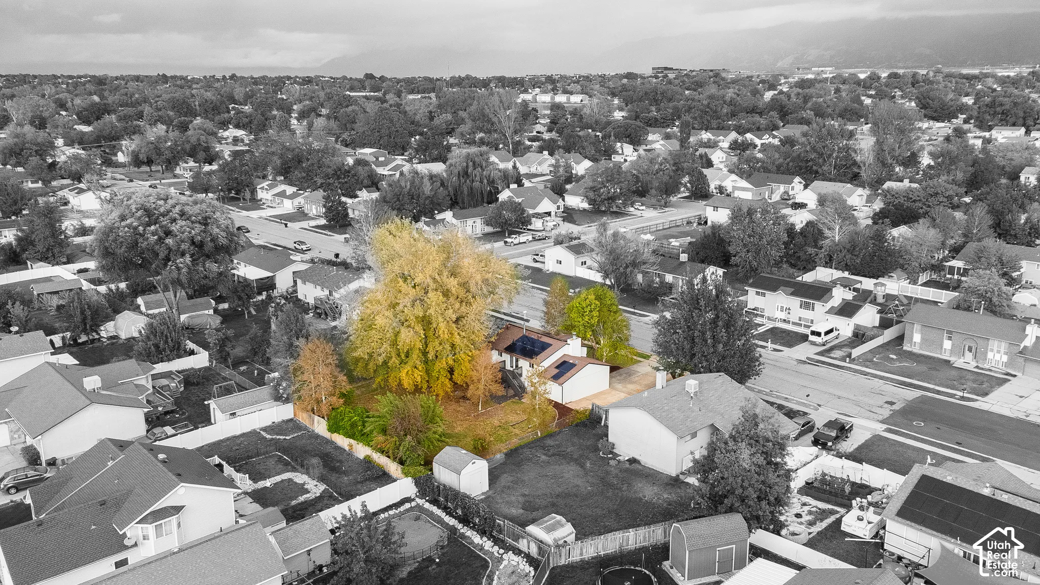 Aerial perspective of a property featuring solar panel arrays, a concrete driveway, a detached storage structure, and established mature trees