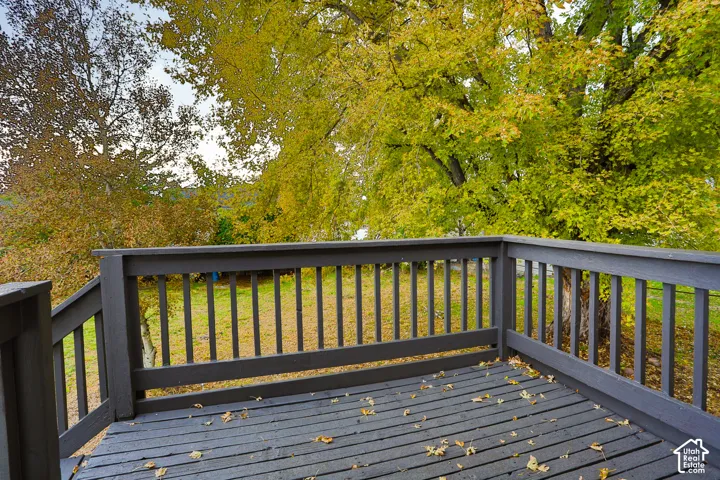 Elevated wood-plank deck featuring a painted perimeter railing and stairs
