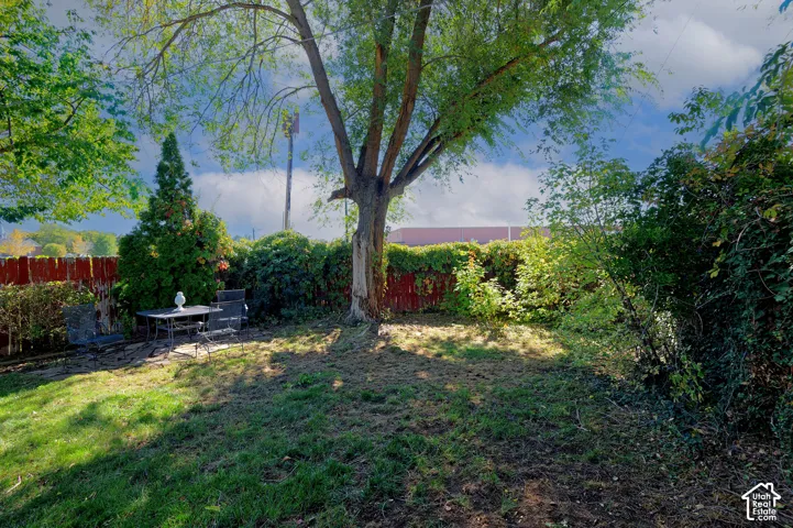 Rear yard featuring a grass lawn, mature trees, dense perimeter vegetation, and a fenced boundary