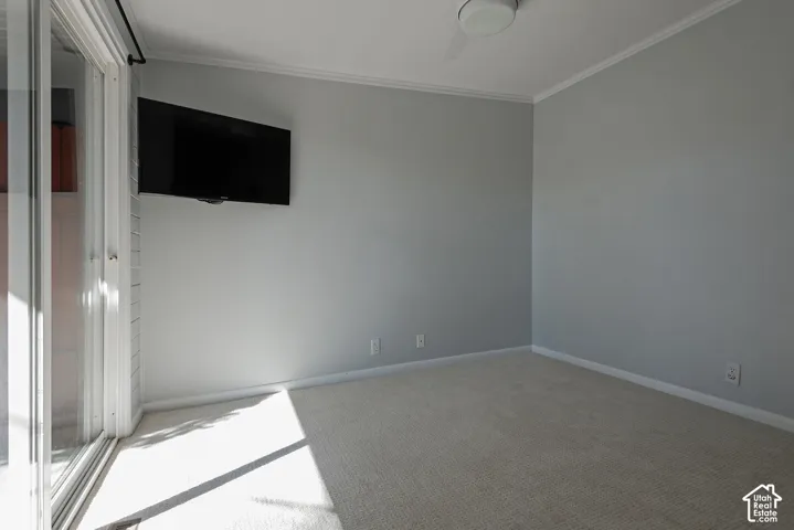 Neutral-toned room featuring wall-to-wall carpeting, crown molding, a flush-mount ceiling light fixture, and a sliding glass door