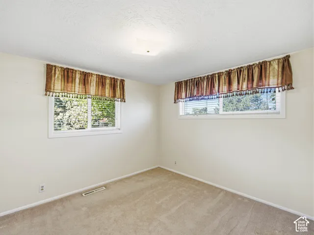 Neutral wall tones, two windows with blinds, recessed lighting fixture, and light-toned carpeting